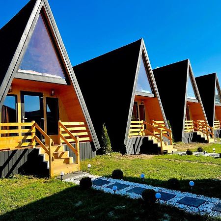 A-Frame Bucovina- Paradis Bucovinean Capu Cîmpului Εξωτερικό φωτογραφία