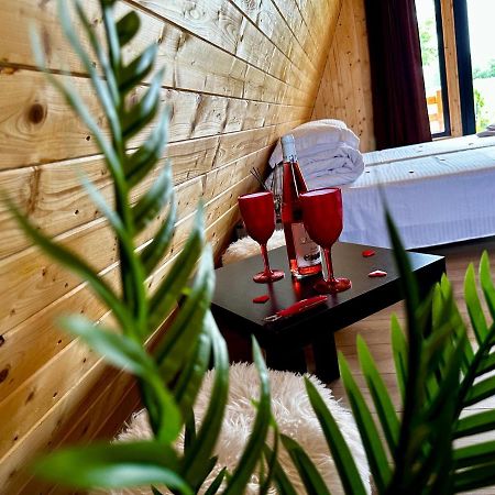 A-Frame Bucovina- Paradis Bucovinean Capu Cîmpului Εξωτερικό φωτογραφία