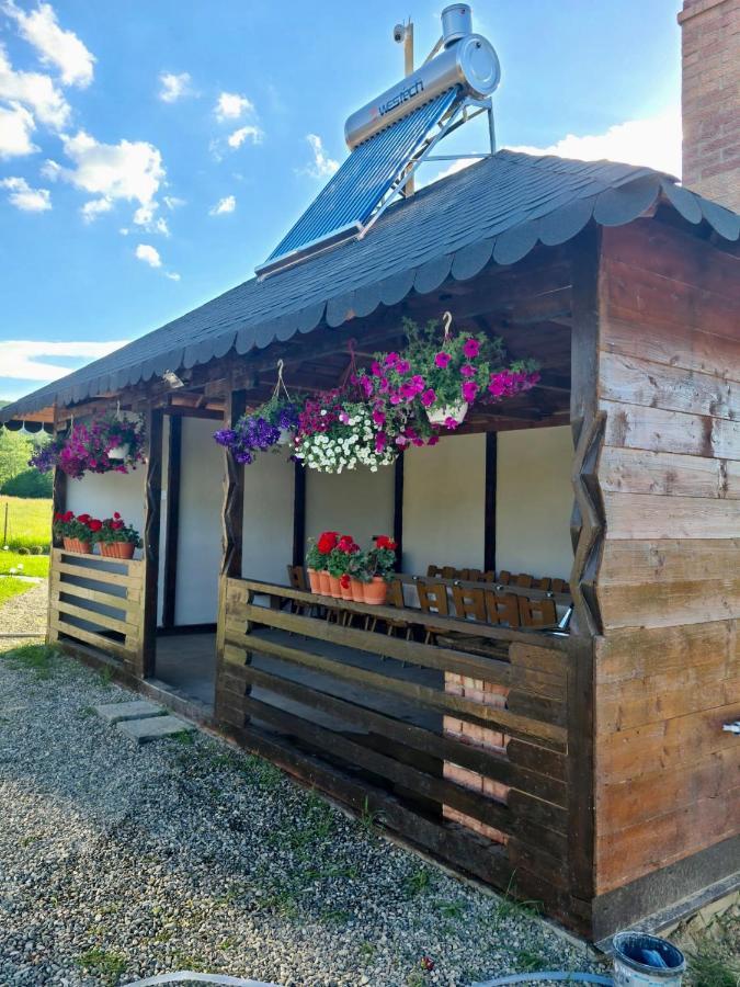 A-Frame Bucovina- Paradis Bucovinean Capu Cîmpului Εξωτερικό φωτογραφία
