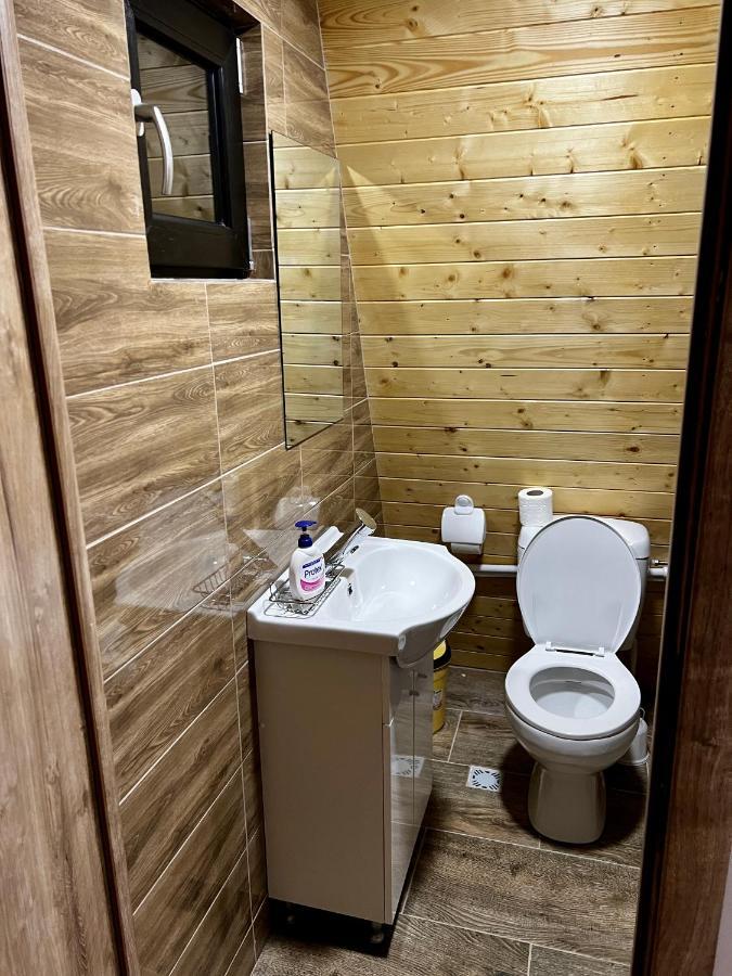 A-Frame Bucovina- Paradis Bucovinean Capu Cîmpului Εξωτερικό φωτογραφία