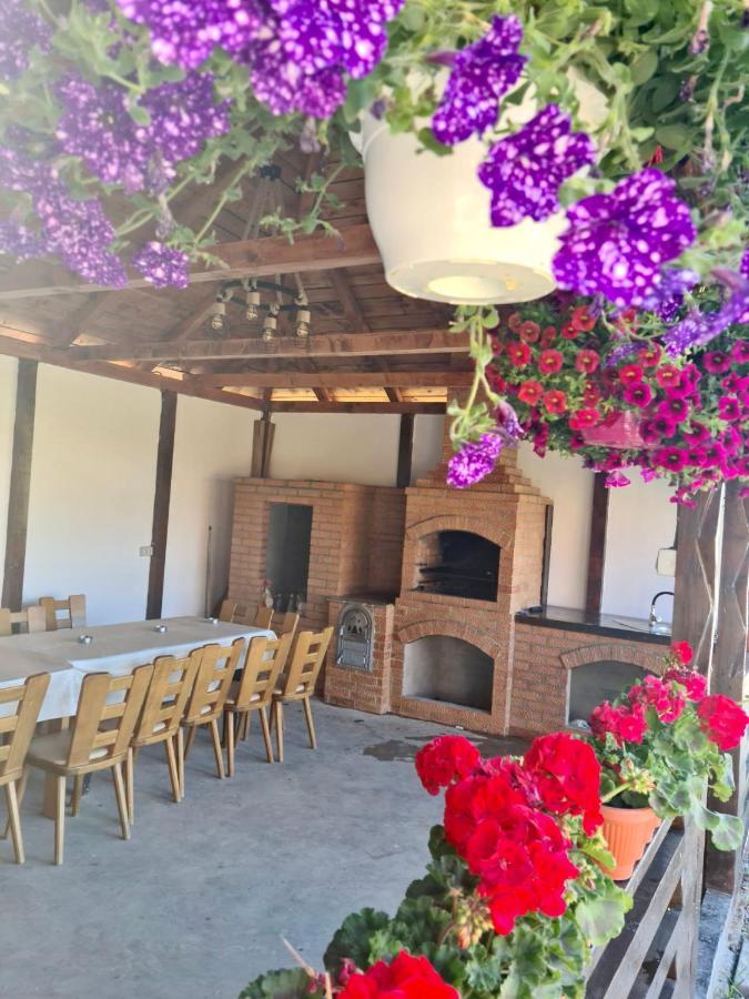 A-Frame Bucovina- Paradis Bucovinean Capu Cîmpului Εξωτερικό φωτογραφία