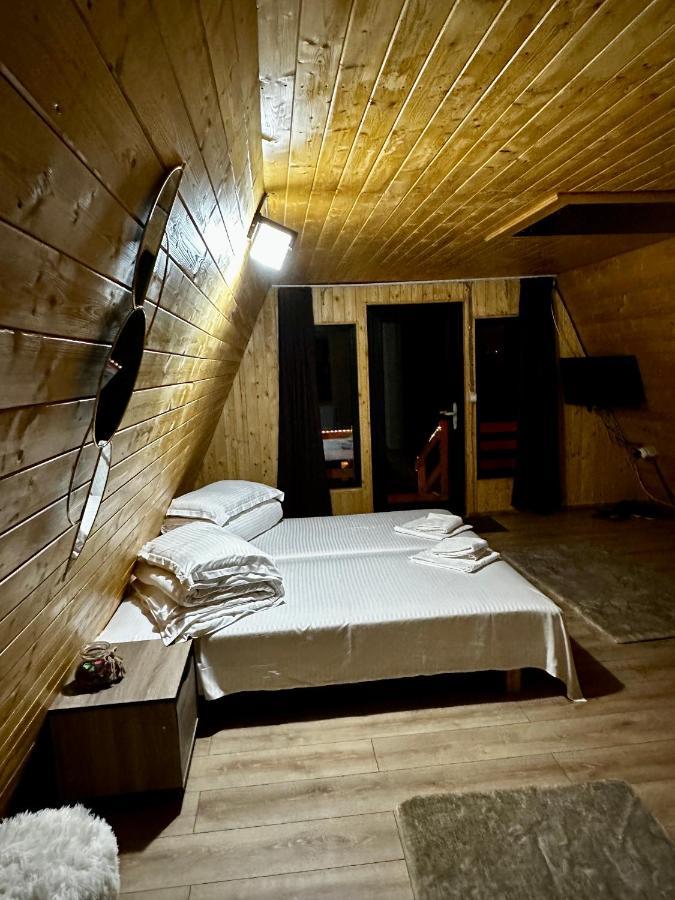 A-Frame Bucovina- Paradis Bucovinean Capu Cîmpului Εξωτερικό φωτογραφία