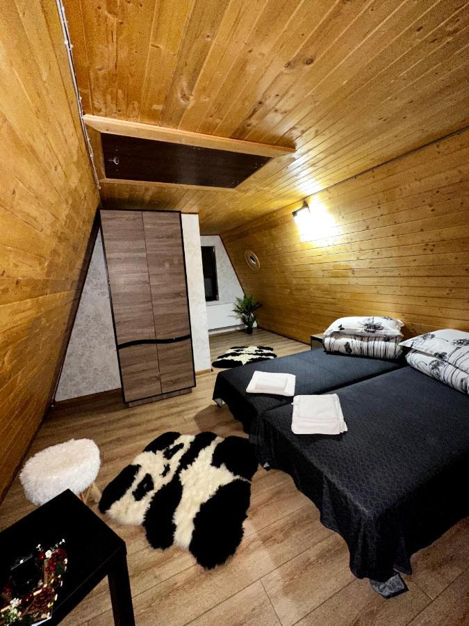 A-Frame Bucovina- Paradis Bucovinean Capu Cîmpului Εξωτερικό φωτογραφία