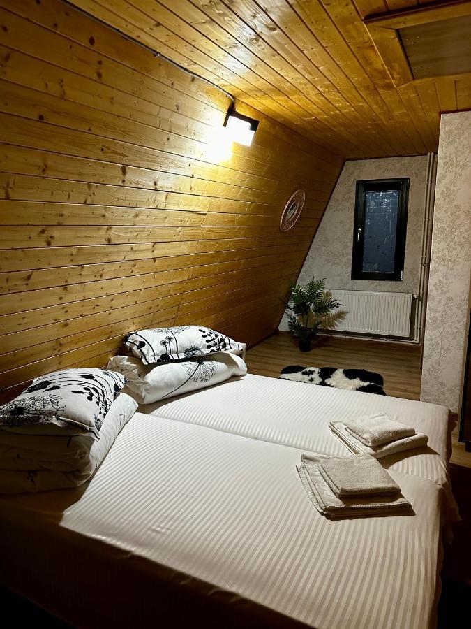 A-Frame Bucovina- Paradis Bucovinean Capu Cîmpului Εξωτερικό φωτογραφία