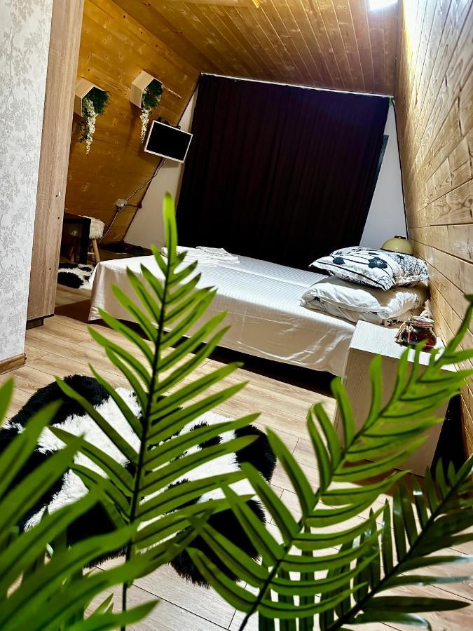A-Frame Bucovina- Paradis Bucovinean Capu Cîmpului Εξωτερικό φωτογραφία