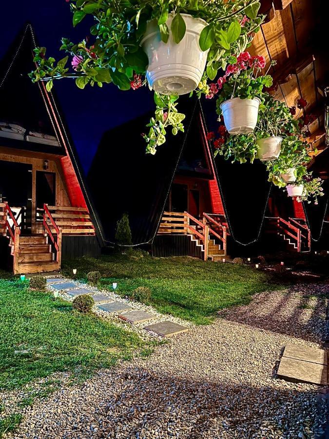 A-Frame Bucovina- Paradis Bucovinean Capu Cîmpului Εξωτερικό φωτογραφία