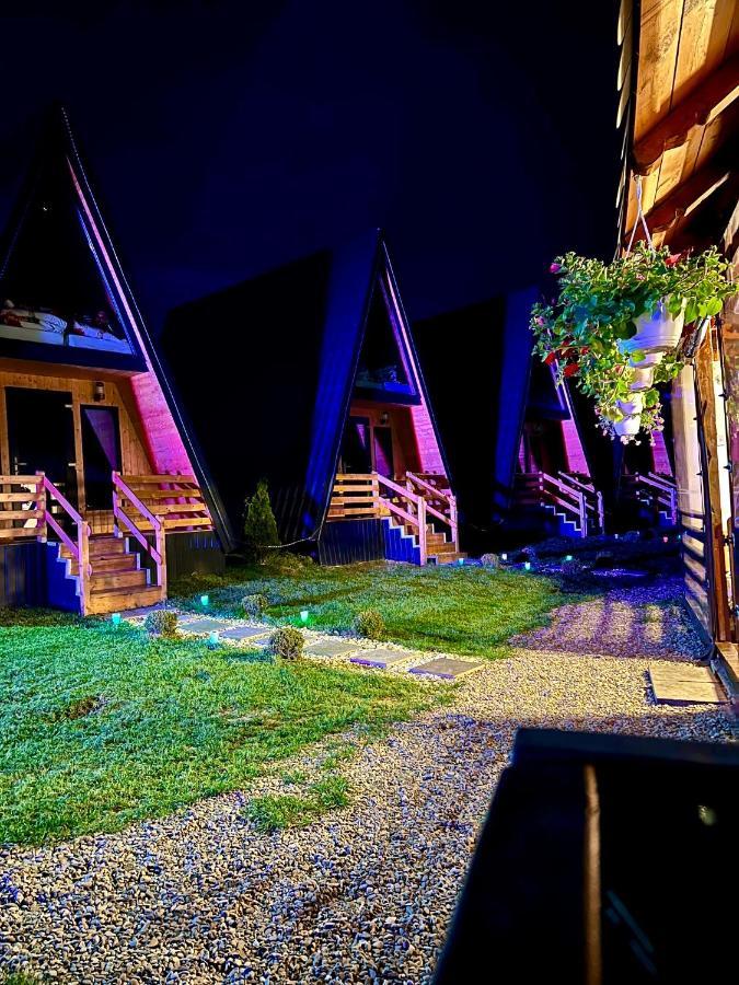 A-Frame Bucovina- Paradis Bucovinean Capu Cîmpului Εξωτερικό φωτογραφία