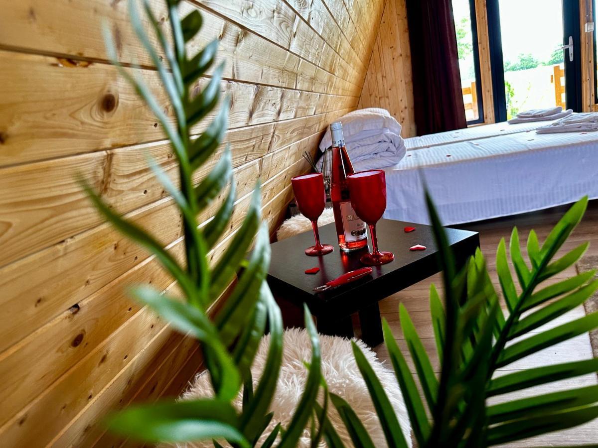 A-Frame Bucovina- Paradis Bucovinean Capu Cîmpului Εξωτερικό φωτογραφία