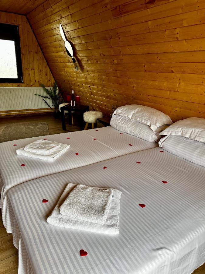 A-Frame Bucovina- Paradis Bucovinean Capu Cîmpului Εξωτερικό φωτογραφία
