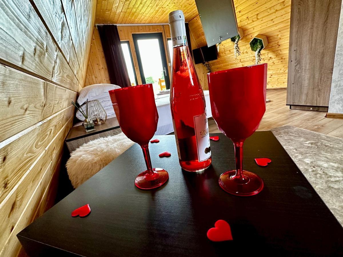 A-Frame Bucovina- Paradis Bucovinean Capu Cîmpului Εξωτερικό φωτογραφία