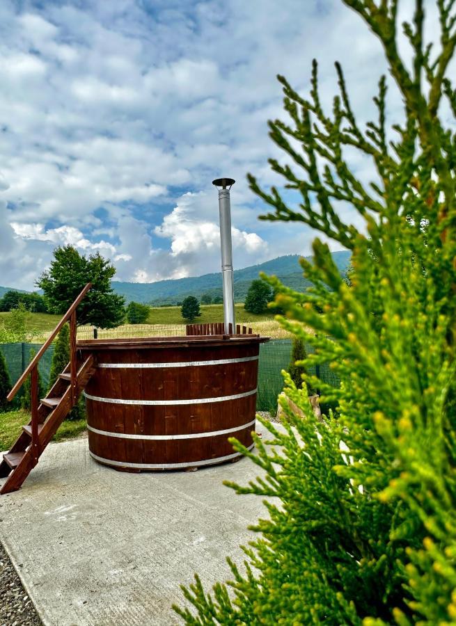 A-Frame Bucovina- Paradis Bucovinean Capu Cîmpului Εξωτερικό φωτογραφία